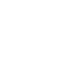 icon1 1 (1)