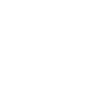 icon2 1